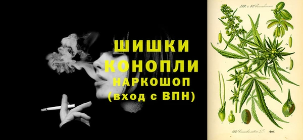 гидра Арсеньев