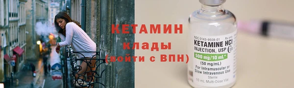 гидра Арсеньев