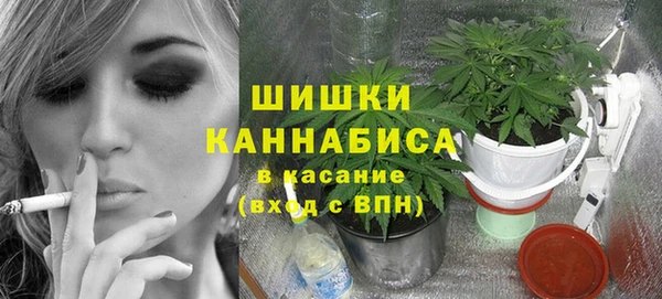 гидра Арсеньев