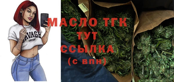 гидра Арсеньев